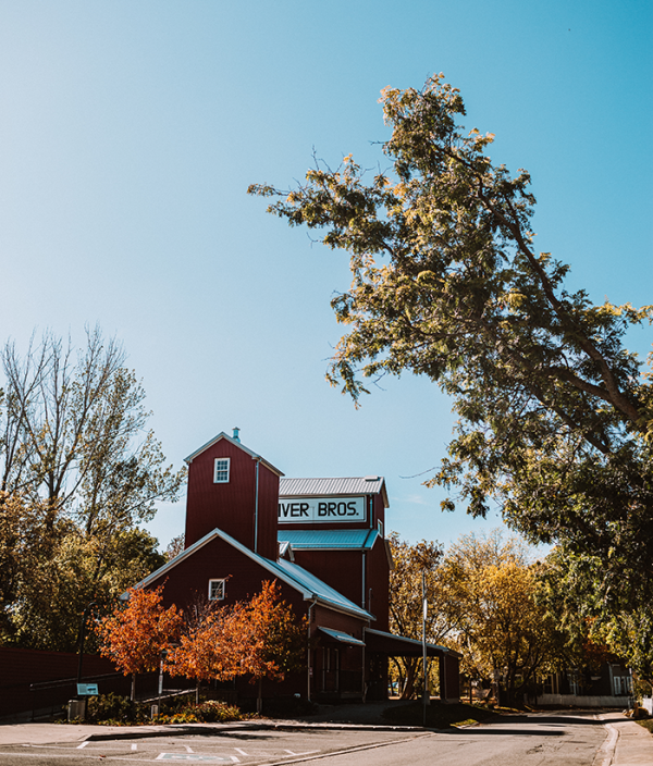 Unionville and Markham Heritage Estates Moda Mama